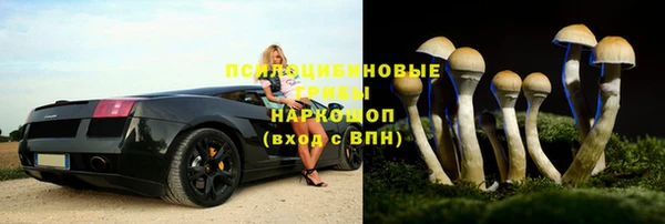 дурь Навашино