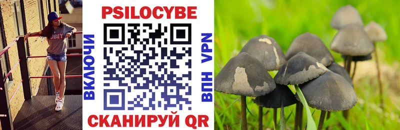 где найти наркотики  Калининград  Псилоцибиновые грибы прущие грибы 