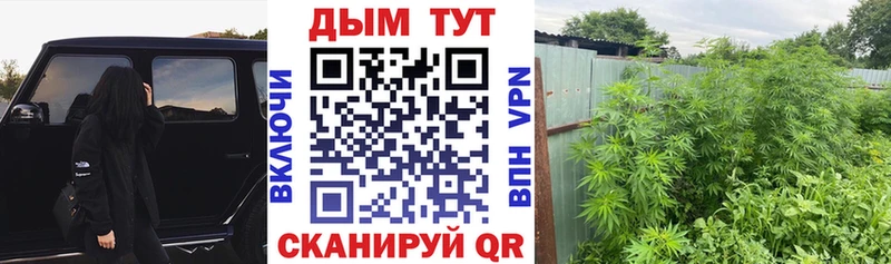 Бошки марихуана планчик OMG как зайти Калининград купить